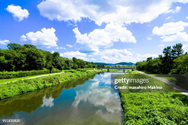 summer view of kamo river, kyoto city - kamo river stock pictures, royalty-free photos & images