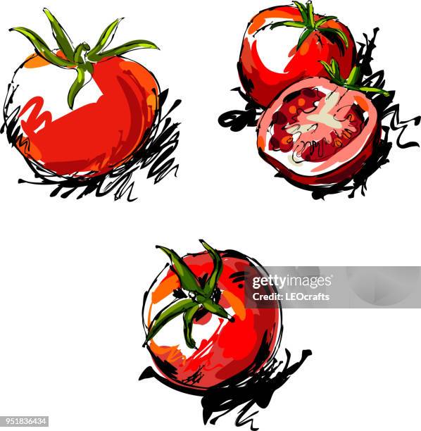 tomato drawing - tomatoes stock illustrations
