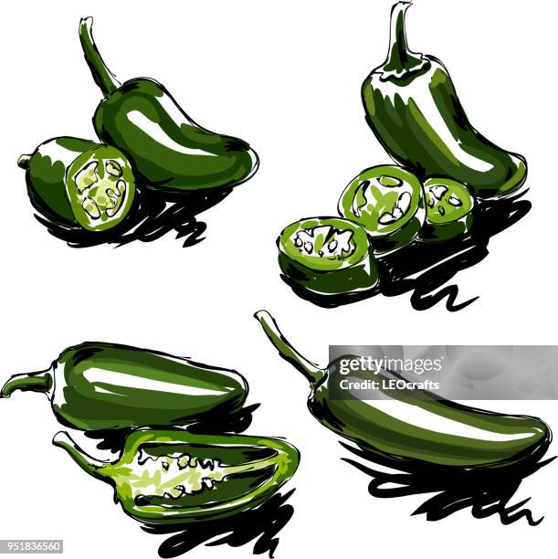 jalapeno drawing - jalapeno pepper stock illustrations