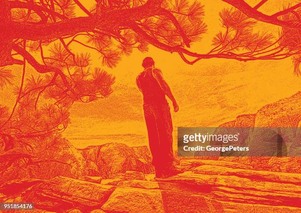 young man hiking angels landing trail in zion national park, utah - zion national park stock illustrations