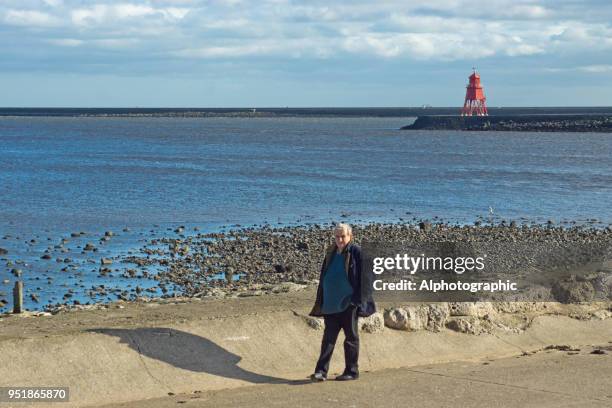 herde buhne leuchtturm - north shields stock-fotos und bilder