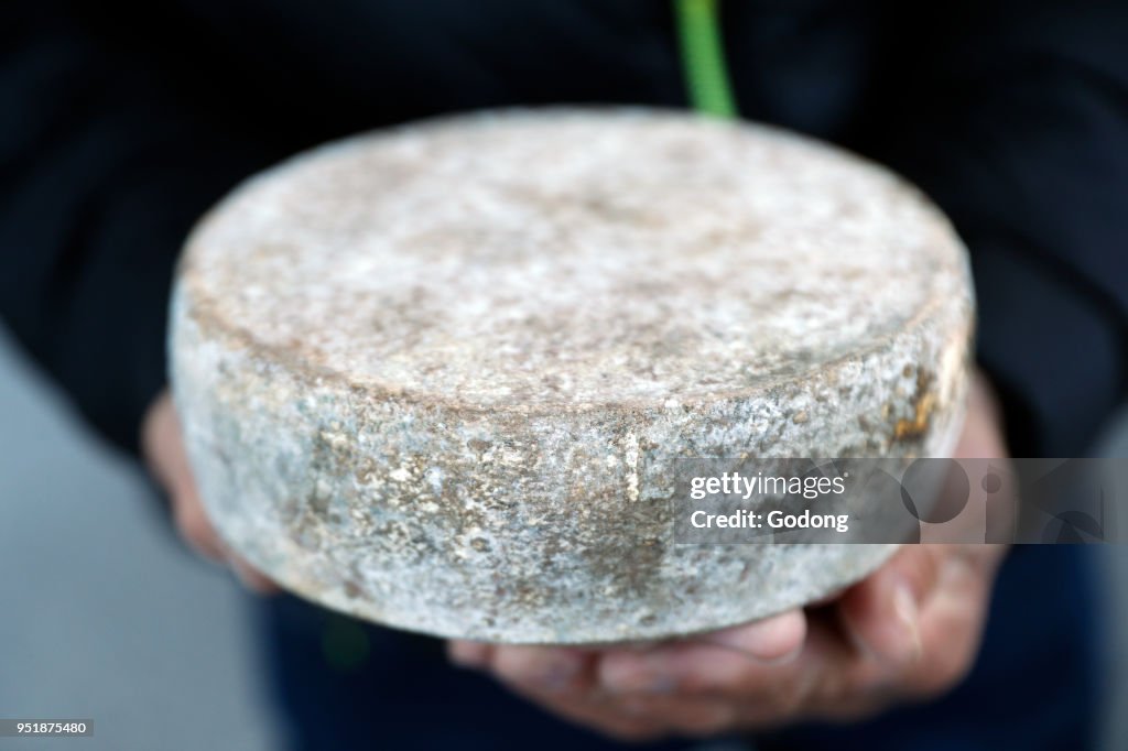 French cheese.