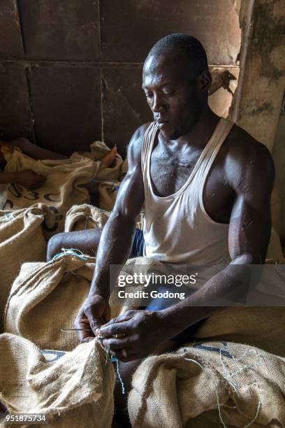 Ivory Coast. Cocoa bag sewing.