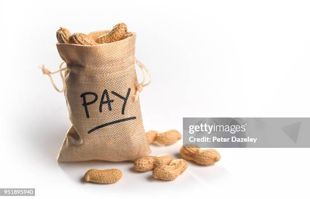 pay discrimination, poor pay - bringing home the bacon engelse uitdrukking stockfoto's en -beelden