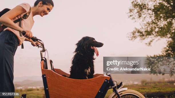 überall zusammen - fahrradkorb stock-fotos und bilder