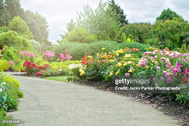 a beautiful garden path with summer roses either side in hazy sunshine - landscaped walkway stock pictures, royalty-free photos & images