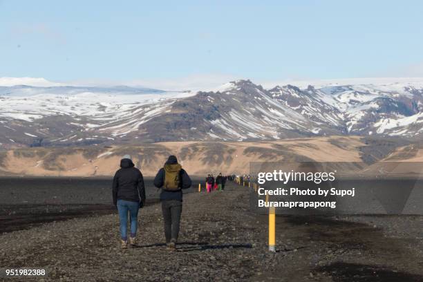 scenics wilderness area on the way to visit solheimasandur airplane famous landmark for visiter in south iceland - visiter 個照片及圖片檔