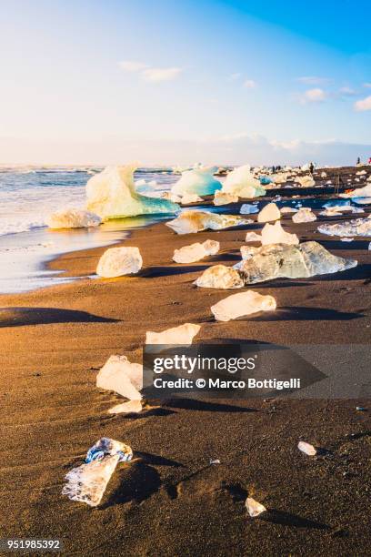 tiny icebergs lined on the beach at sunrise, jokulsarlon, iceland. - eisberg eisgebilde stock-fotos und bilder
