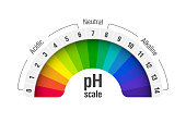 pH value scale chart