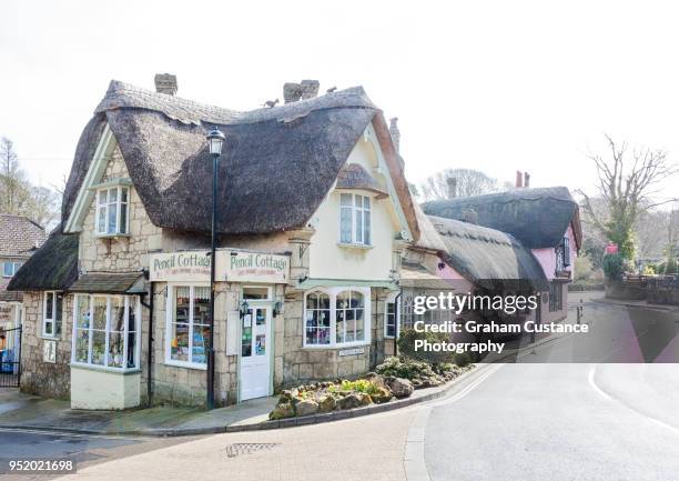 shanklin old village cottages - isle of wight village stock pictures, royalty-free photos & images