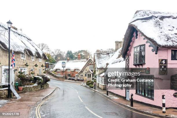 shanklin old village - isle of wight village stock pictures, royalty-free photos & images