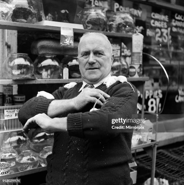 Cecil Crighton, who owns the oldest pet shop in Belfast, Northern Ireland, founded in 1884 and situated near Smithfield Market, with some of the...