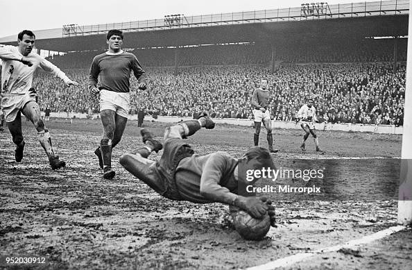 Everton FC Everton FC