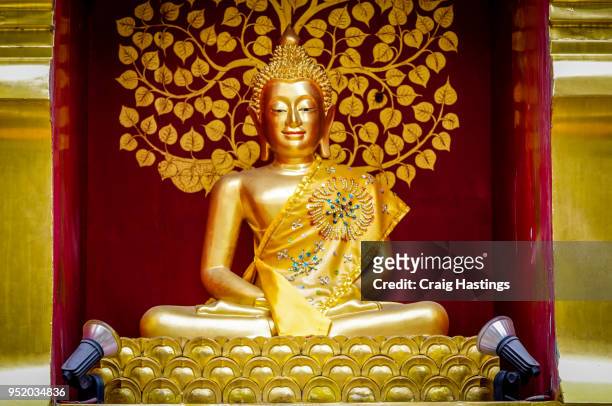 classic buddha statue thailand - buddha face stock pictures, royalty-free photos & images