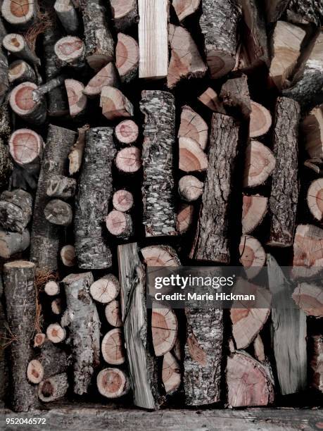 stacked wood pile in massachusetts. - marie hickman stock-fotos und bilder