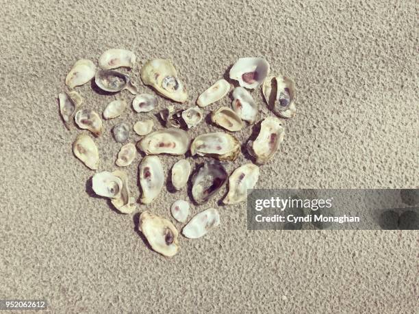 Heart Behind Shell 494 Heart Shaped Shell Stock Photos, High-Res Pictures, and Images ...