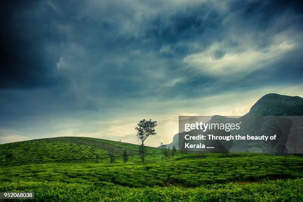 vagamon 2 - kerala rain fotografías e imágenes de stock