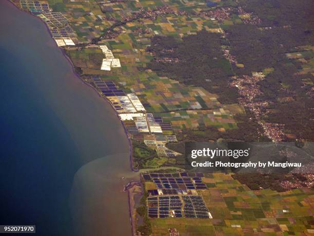 banyuwangi java - llanura costera fotografías e imágenes de stock