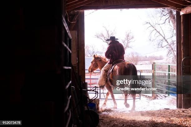 horseback rider exits a barn in montana - montana ranch stock pictures, royalty-free photos & images