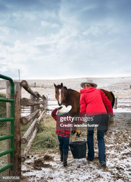 mom teaches son chores on a montana ranch - miniature horse stock pictures, royalty-free photos & images