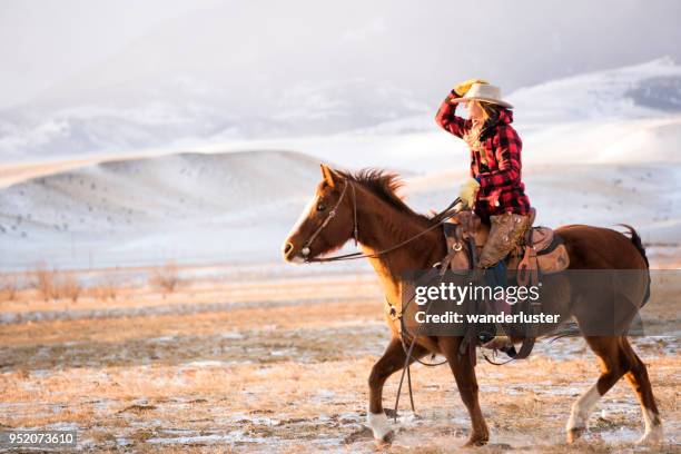 vaqueira a cavalo nas montanhas absaroka - cowgirl hairstyles - fotografias e filmes do acervo