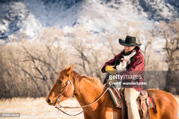 cowboy rides with his dog in montana - cow winter stock pictures, royalty-free photos & images