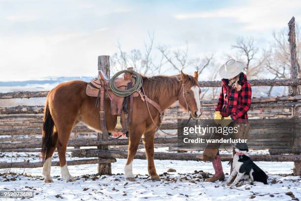 female rancher affectionately pets her quarter horse on a montana ranch - cow winter stock pictures, royalty-free photos & images