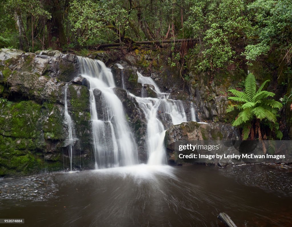 Lilydale Falls Tasmania Australia
