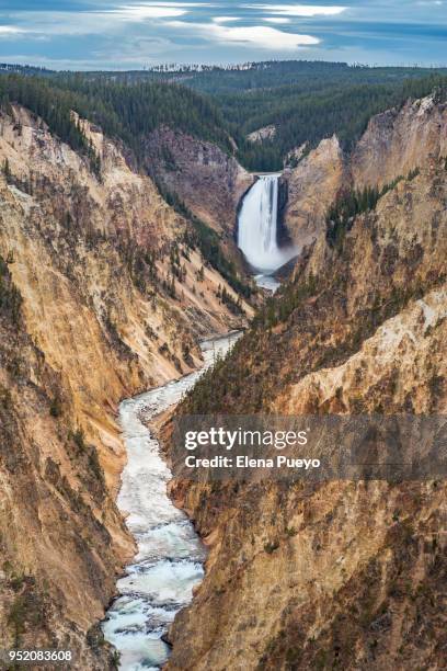 yellowstone grand canyon - cataratas lower falls fotografías e imágenes de stock