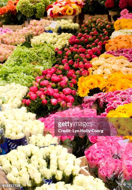 rows of coloured flowers for sale in marketplace - lyn holly coorg stock-fotos und bilder