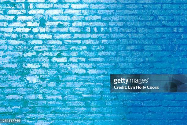 blue brick wall in sunlight - lyn holly coorg stock-fotos und bilder