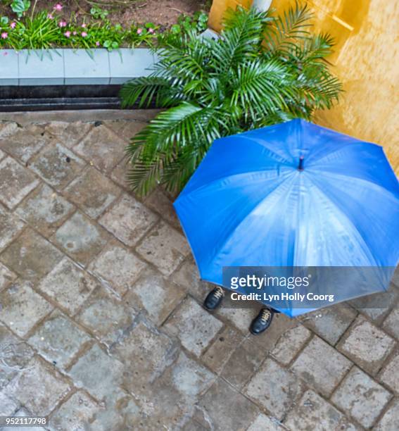 overhead view blue umbrella - lyn holly coorg stock-fotos und bilder