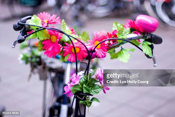 defocussed dutch bicycle decorated with flowers - lyn holly coorg stock pictures, royalty-free photos & images