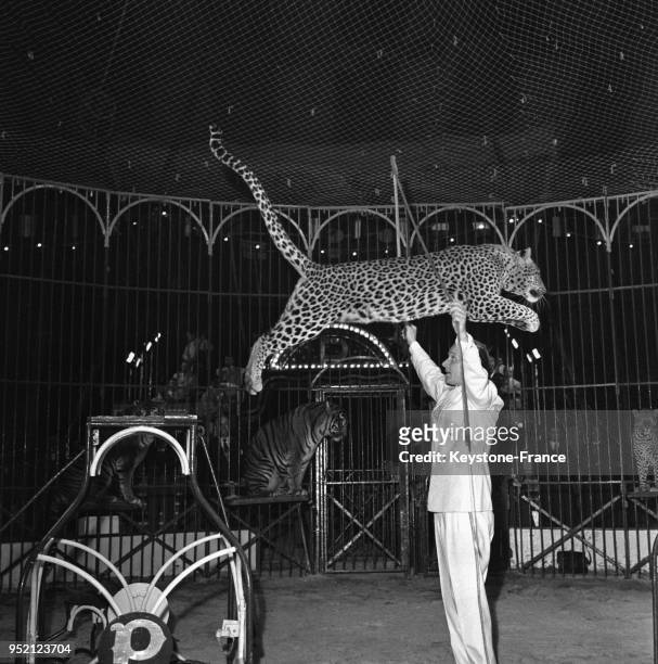 Dompteur et tigre du cirque Pinder, à Chanceaux-sur-Choisille, France circa 1950.
