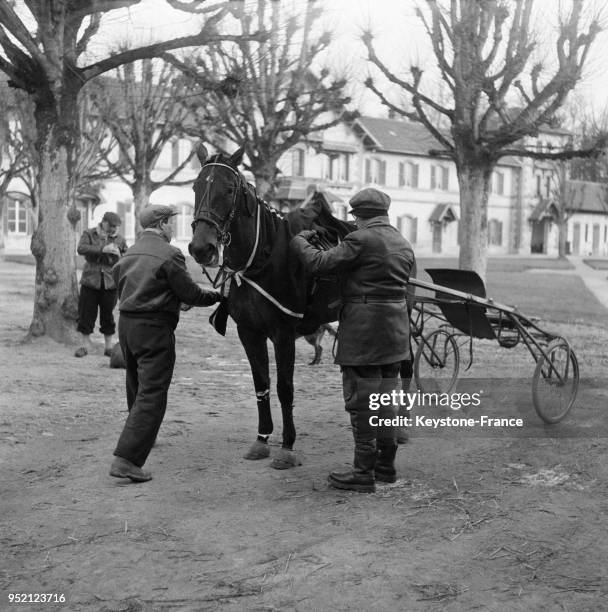 La fin de la séance d'entraînement, une couverture est posée sur Gelinotte pour le protéger du froid, à Chanant, France le 10 février 1956.