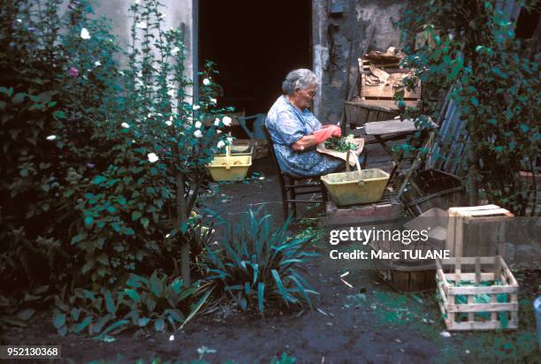 Femme âgée faisant du jardinage à Lyon, en septembre 1979, dans le Rhône, France.