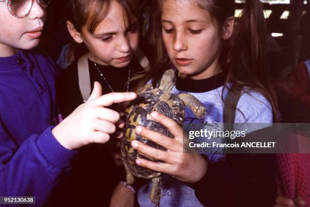 Petite fille tenant une tortue au Village des Tortues à Gonfaron, en mai 1991, dans le Var, France.