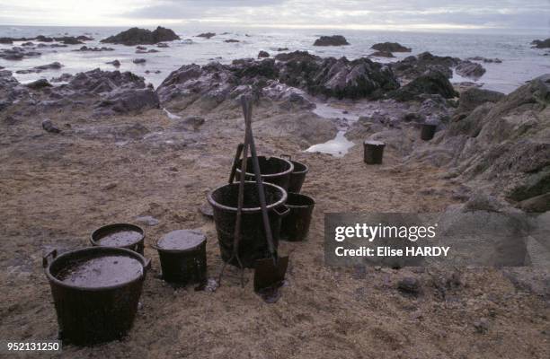 Seaux remplis de fioul pendant le nettoyage d'une plage du Croisic, après la marée noire causée par le naufrage de l'Erika, le 2 janvier 2000, en...