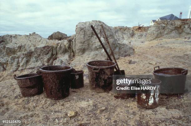 Seaux remplis de fioul pendant le nettoyage d'une plage du Croisic, après la marée noire causée par le naufrage de l'Erika, le 2 janvier 2000, en...