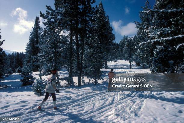 Piste de ski de fond à Font-Romeu-Odeillo-Via, en février 1984, dans les Pyrénées-Orientales, France.