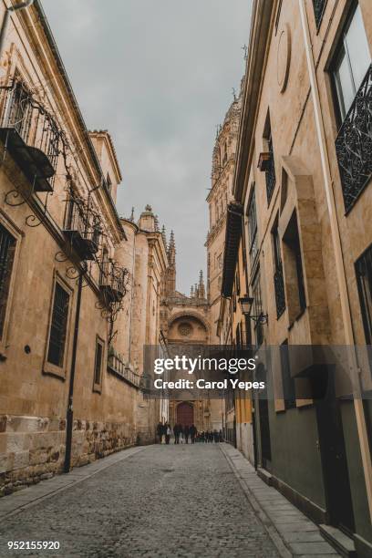 street  detail in salamanca,spain - unesco intangible cultural heritage list stock pictures, royalty-free photos & images