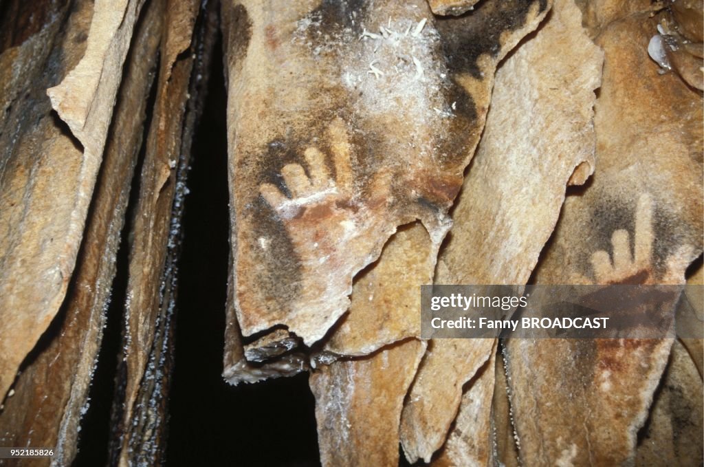 Cosquer Cave: Photographs fom the Book