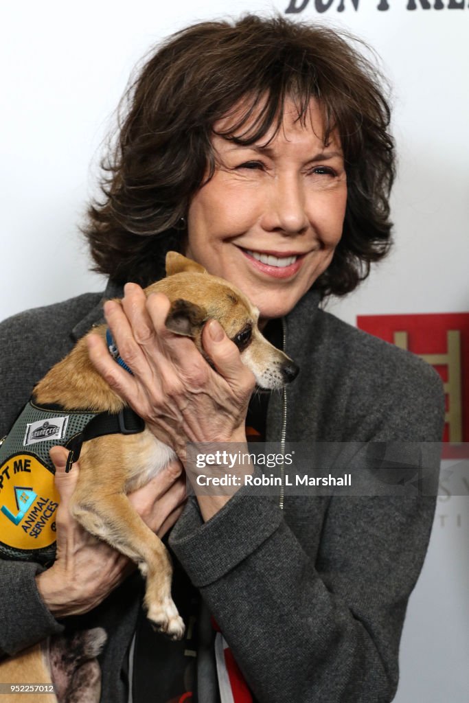 "Wait Wait...Don't Kill Me-2" A Night Of Unforgettable Comedy Benefiting Voice For The Animals Foundation