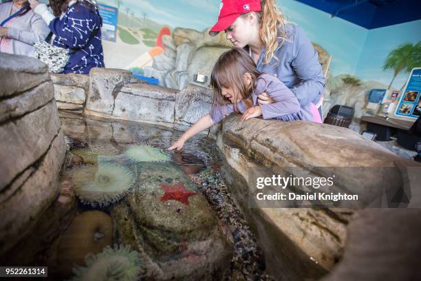 Visitors to LEGOLAND California explore Sea Life Aquarium on April 27, 2018 in Carlsbad, California.