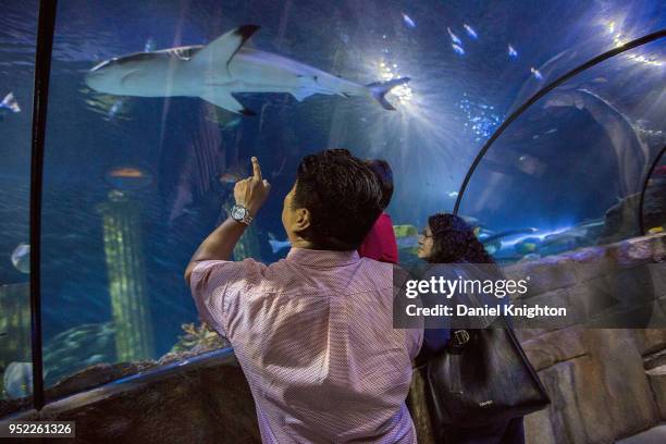 Visitors to LEGOLAND California explore Sea Life Aquarium on April 27, 2018 in Carlsbad, California.