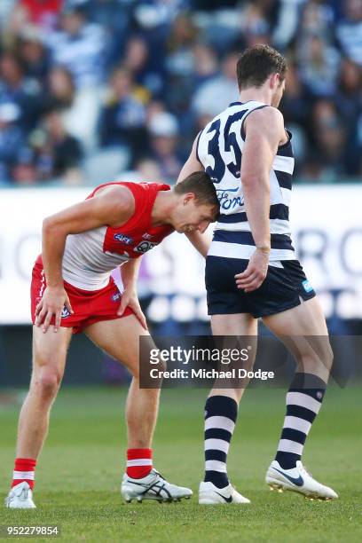 Kieren Jack of the Swans annoys Patrick Dangerfield of the Cats by putting his head into his back during the round six AFL match between the Geelong...