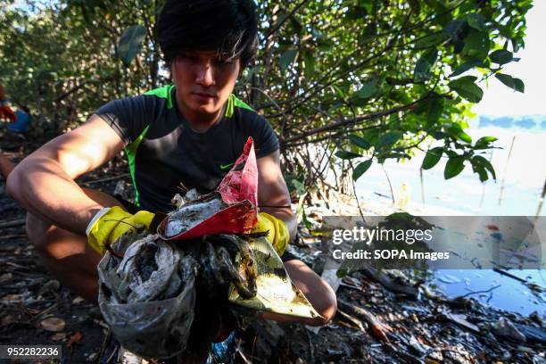 Volunteers pick up trash along the mangrove waterline of Freedom Island. Green group Earth Island Institute, together with volunteers, held a wetland...