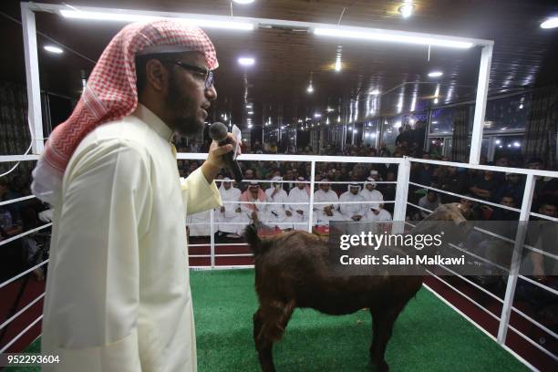 Rashid al-Naser, a Kuwaiti animal breeder leads the auction for rare levant goat auction and exhibition on April 2018, in Amman, Jordan. Animal...