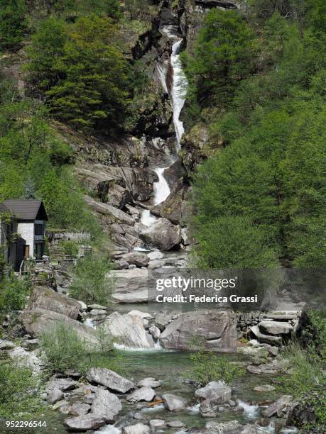 mountain stream with plenty of water in maggia valley, switzerland - giumaglio stock pictures, royalty-free photos & images