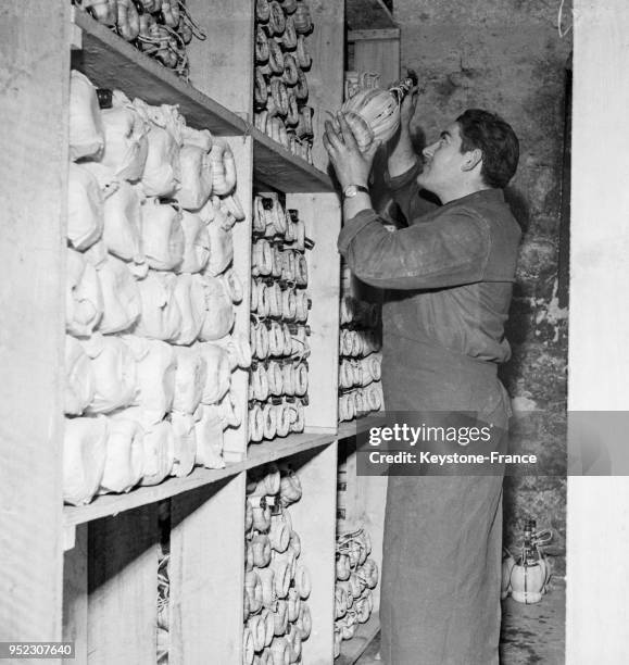 Sommelier rangeant le vin dans une cave d'un restaurant à Paris, France en 1955.